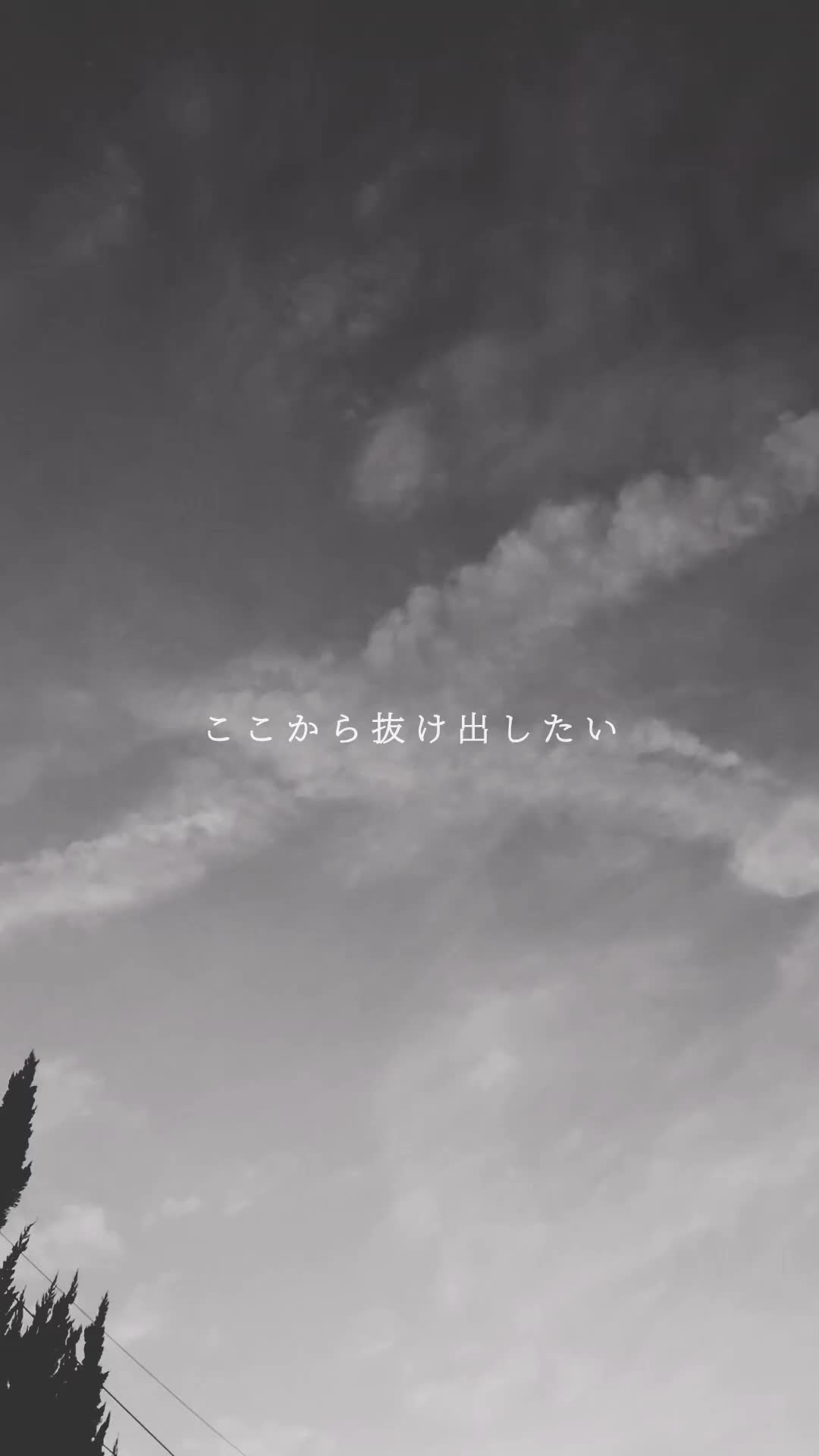@雫斗