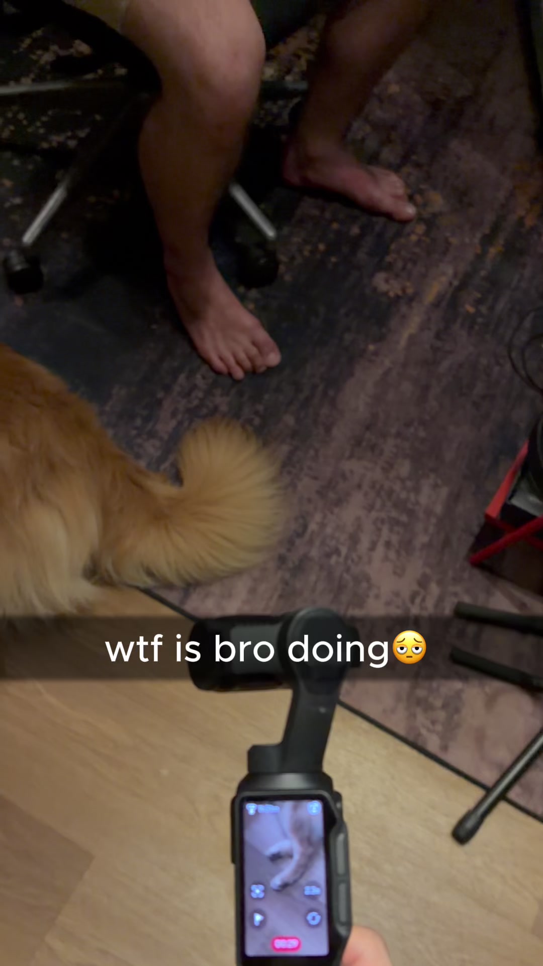 @JayJax
