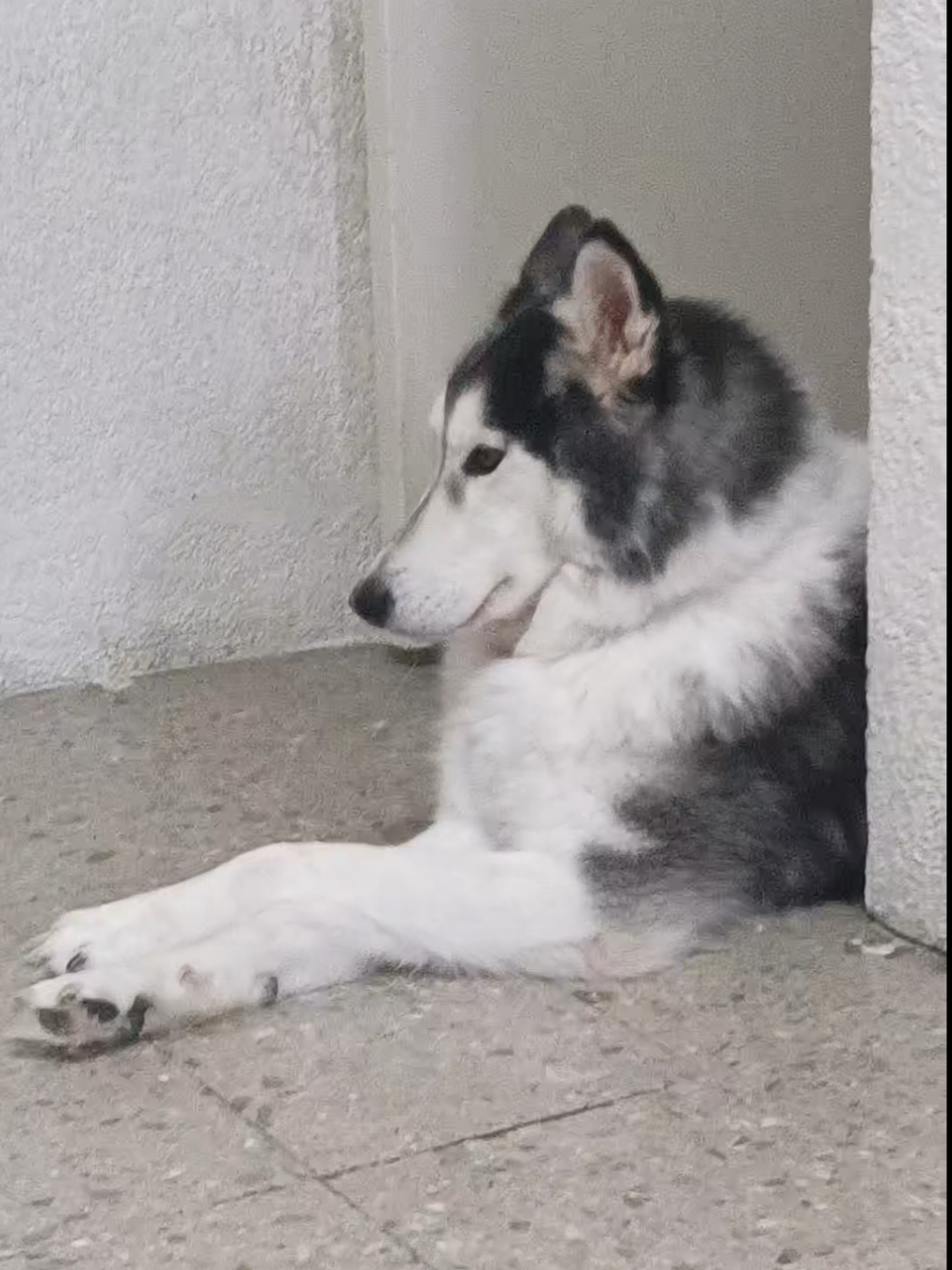 @𝗙𝗔𝗕𝗭𝗭𝗠𝗢𝗟𝗟𝗬☆