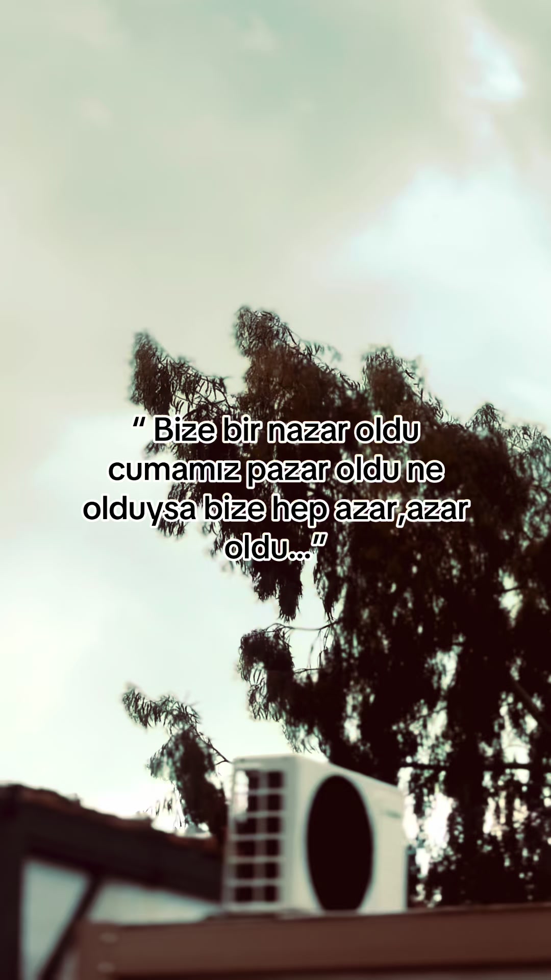@storhanem63.01