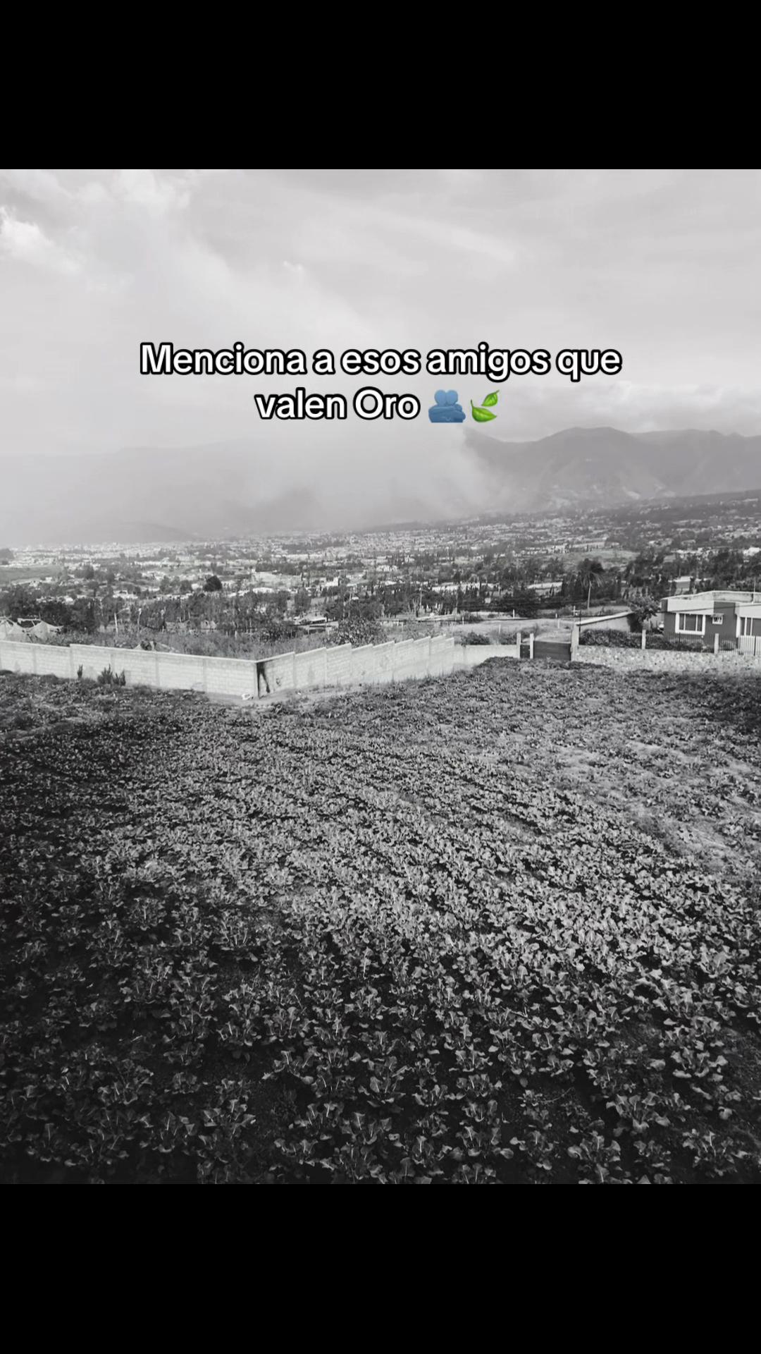 @️🥀Rafa🪫