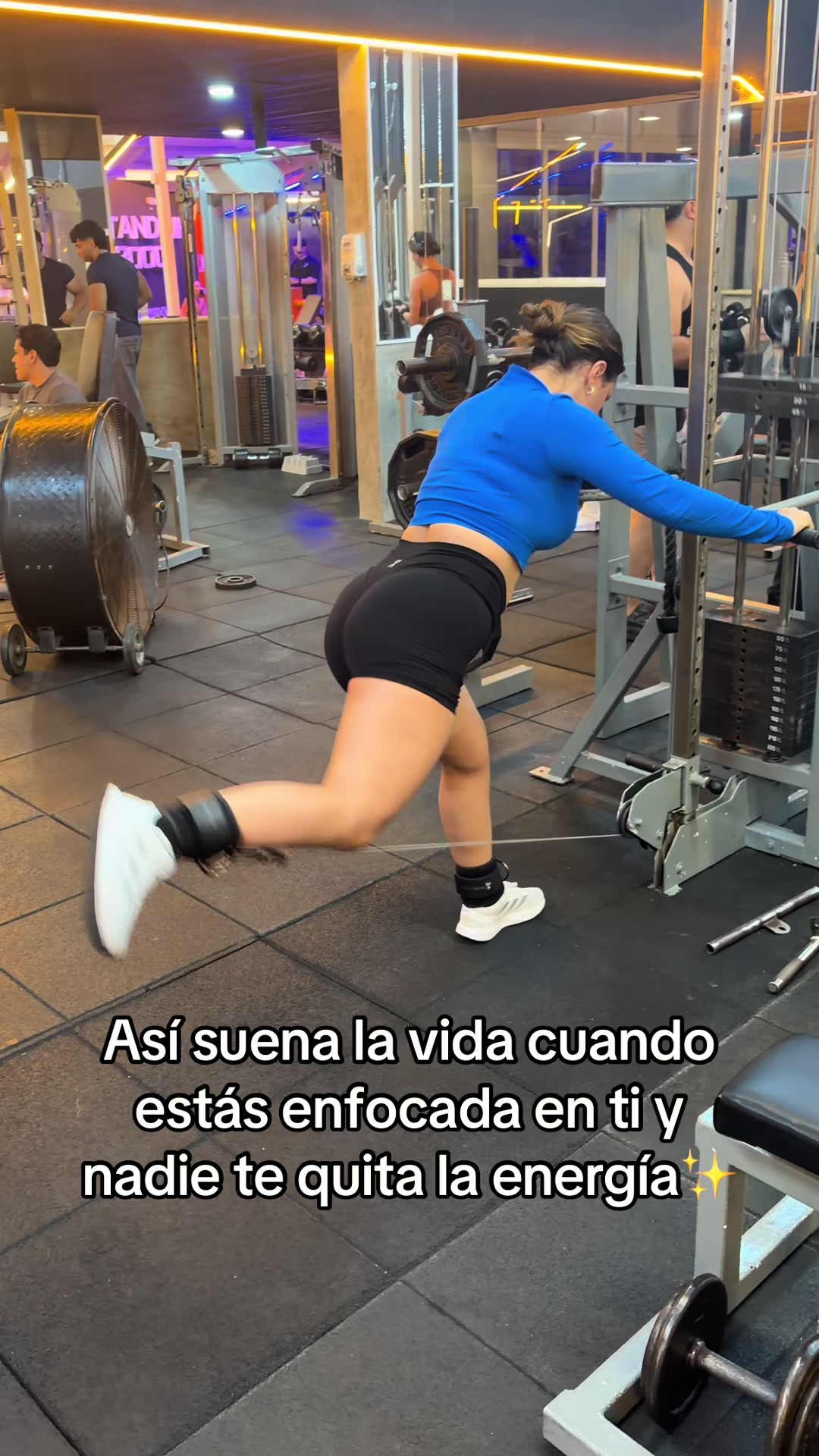 @Maria Violo