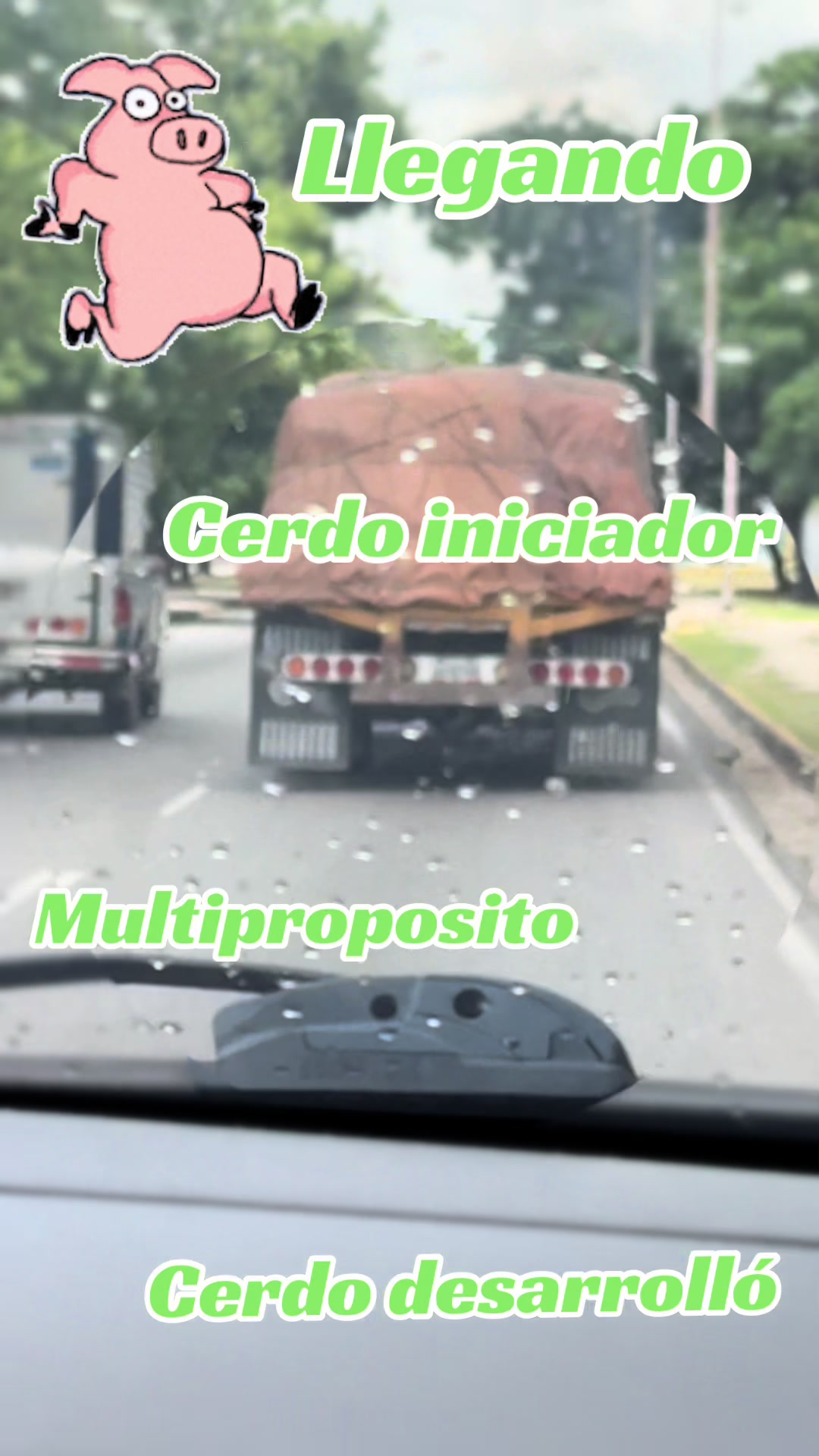 @🇻🇪🤠La llanerita🤠🇻🇪