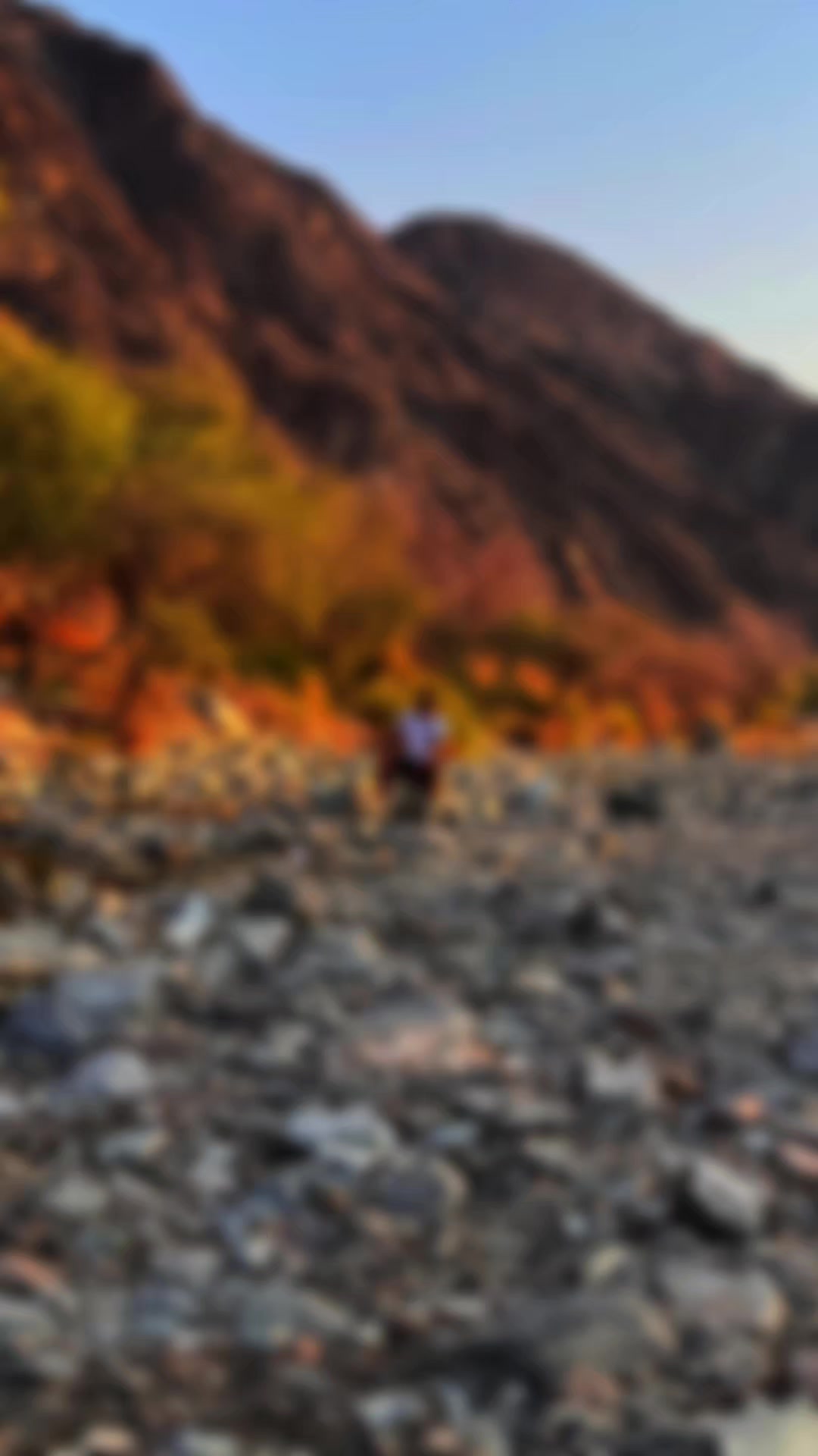 @🫡tarkata🤲