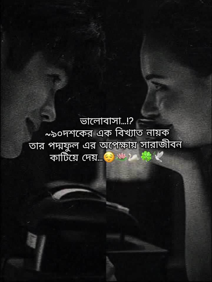 @𓇼 ⋆.˚ 𝗦𝘂𝗻𝗳𝗹𝗼𝘄𝗲𝗿🌻