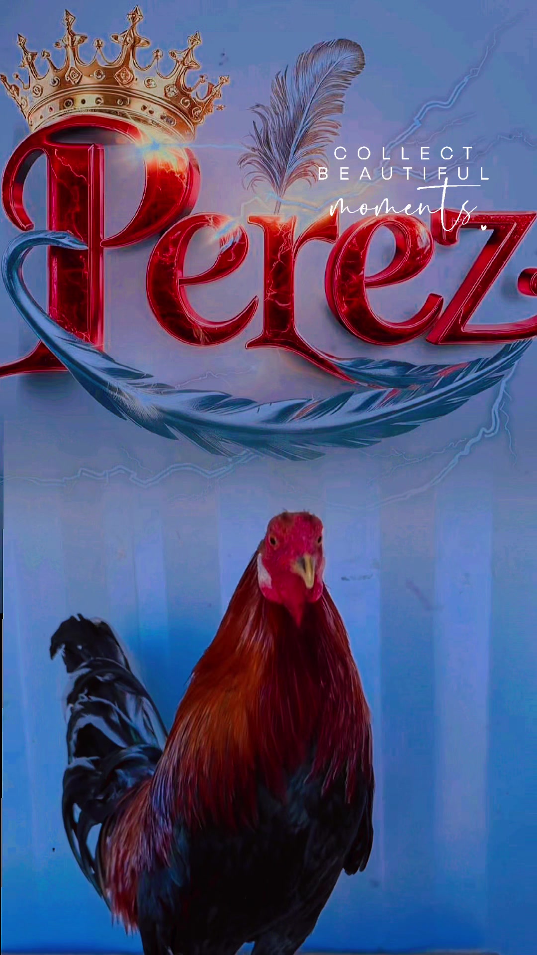 @Francisco Perez3993