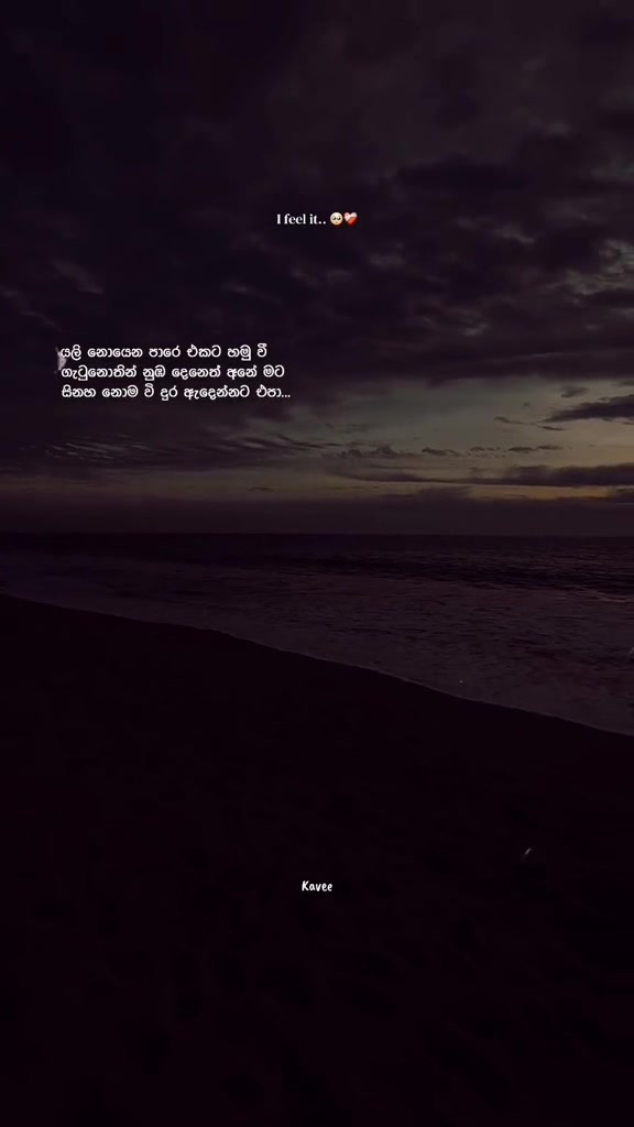 @𝑲 𝑨 𝑽 𝑬 𝑬 🪼