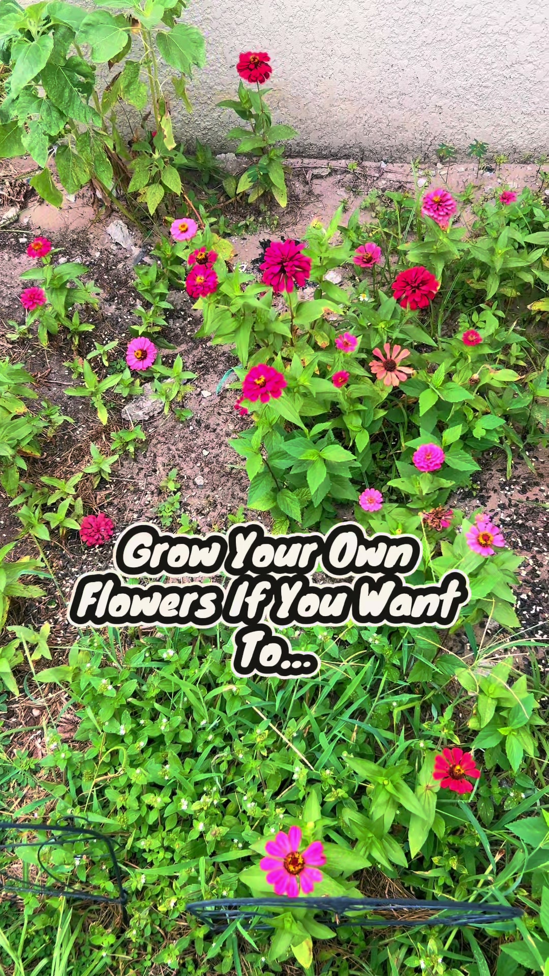 @🧶🧜🏾♀️ItzJustChele👩🏽🌾🐰