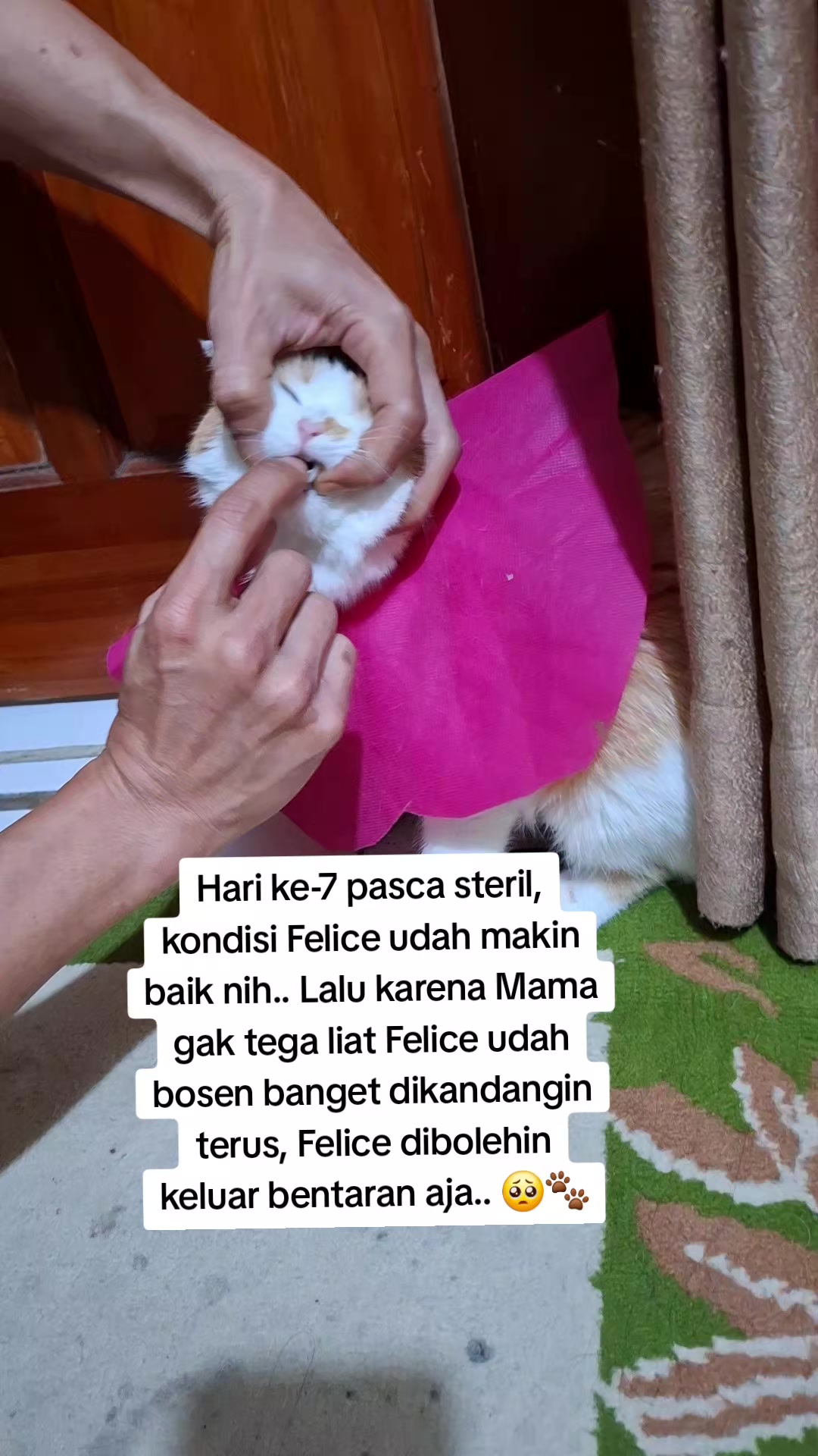 @Felice