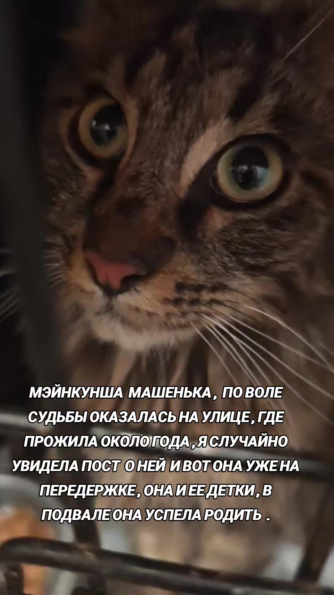 @marinka20_09
