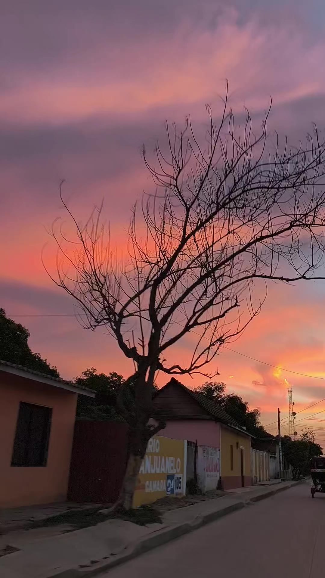 @Pedro C.A