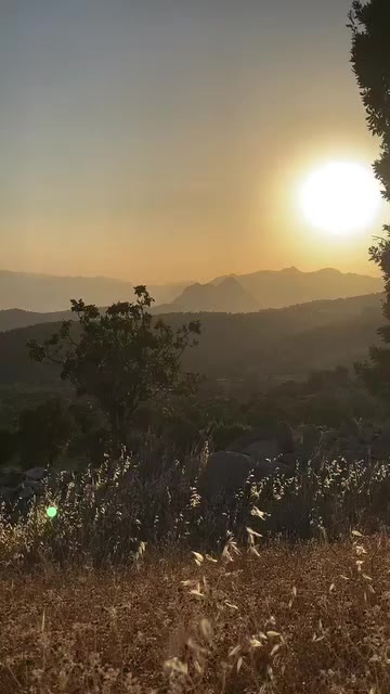 @عبدالرحمن عمر