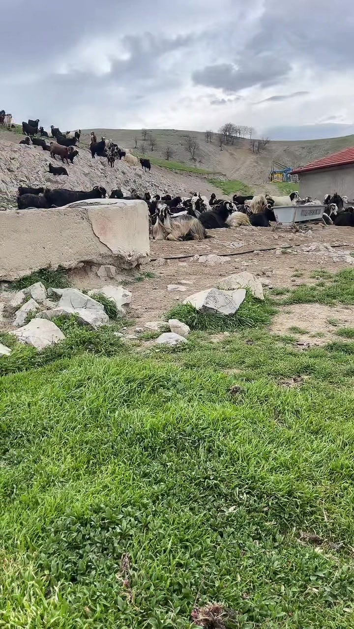 @Gazi.sarıkaya