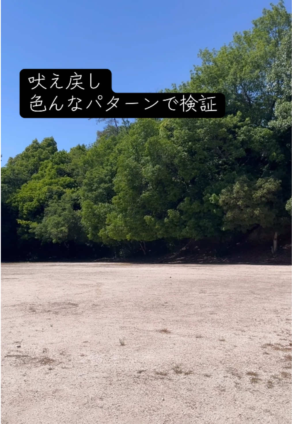 @しばいぬ