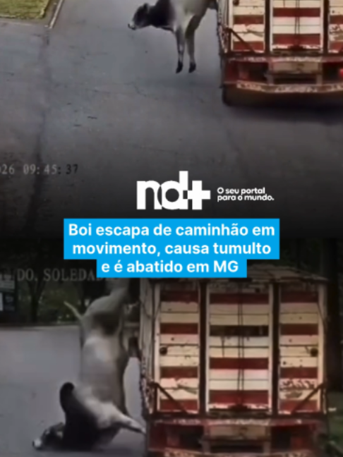 @portalndmais