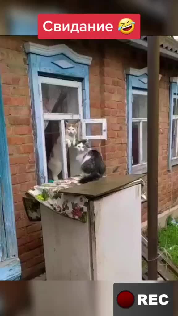 @Лариса