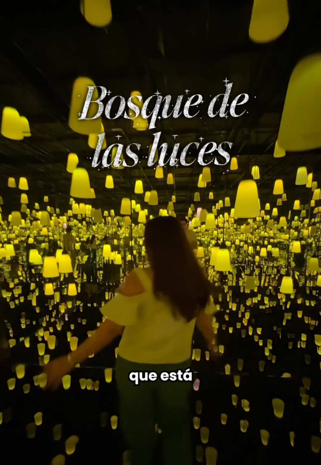 @Paola Ver&aacute;stegui