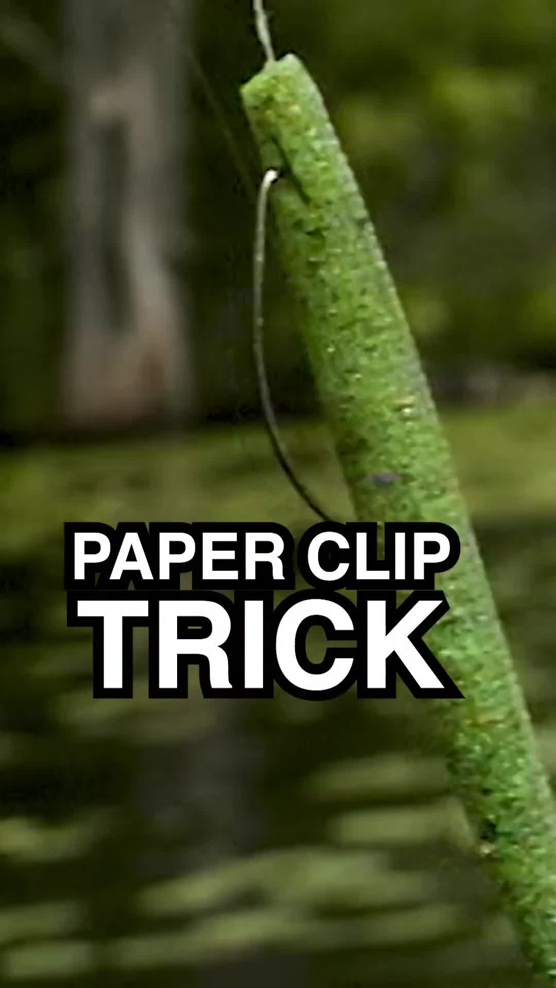 @Lunkerville