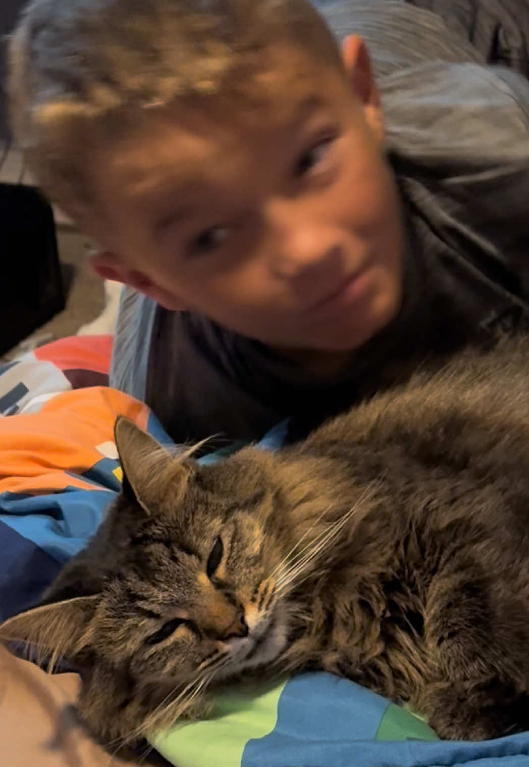 @RoxySnowballCatDrama