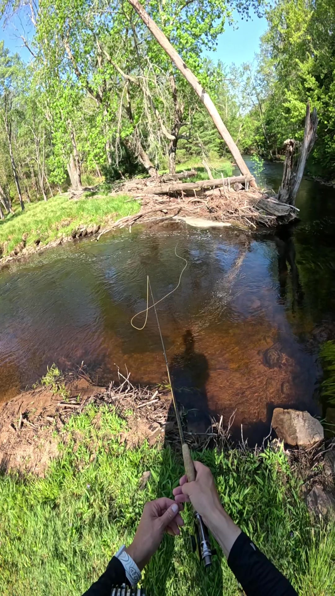 @FlyFishDelawhere
