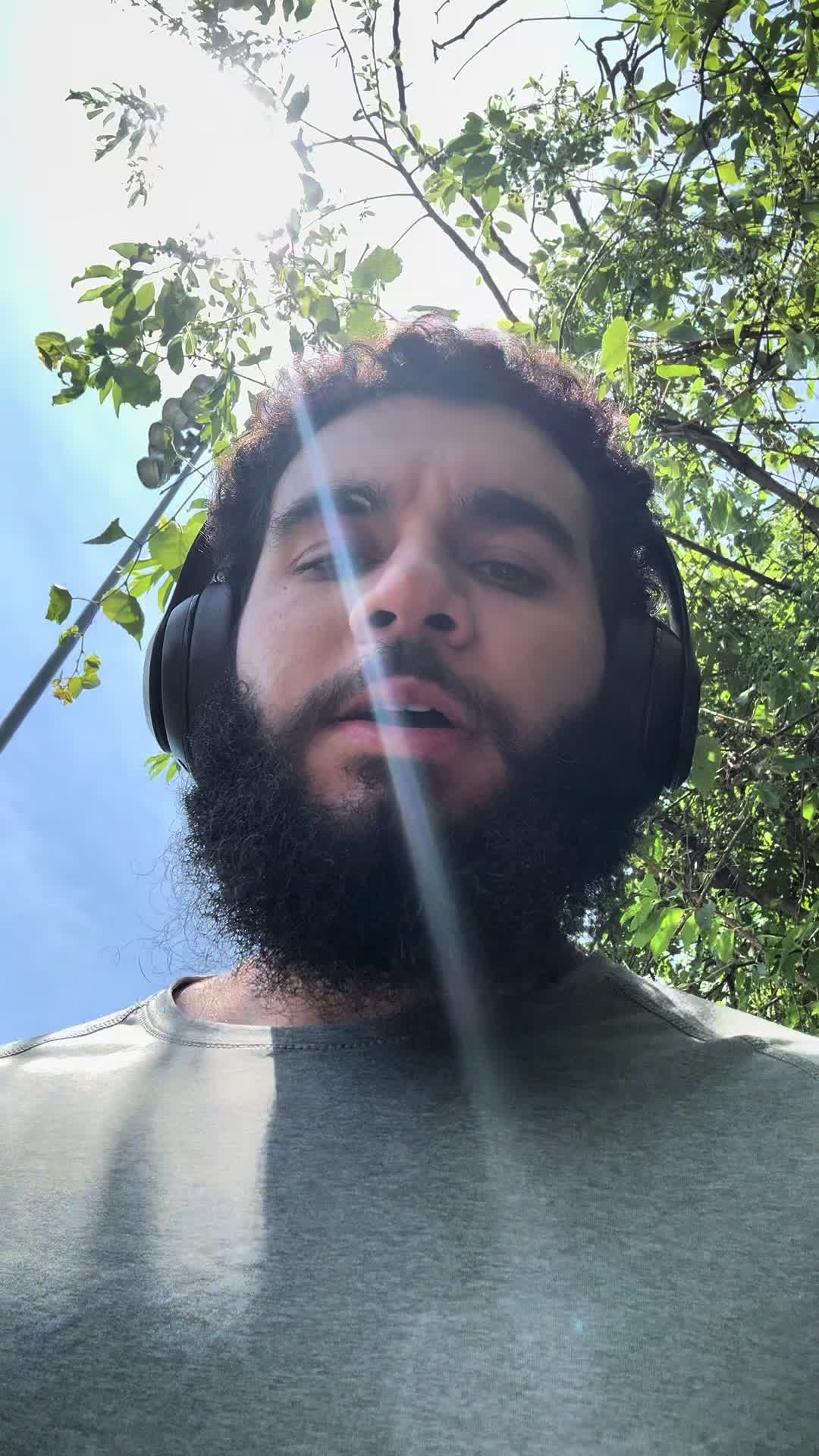 @tazthepali