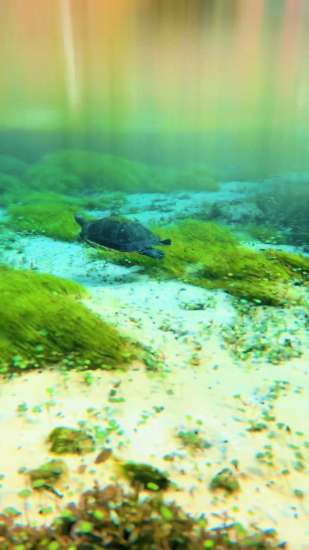 @Gilchrist Blue Clear Kayaking