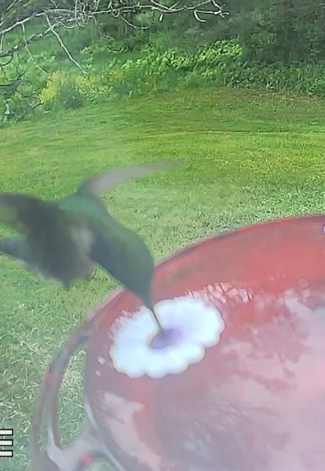 @Chelsea | Dog & Toddler Mom