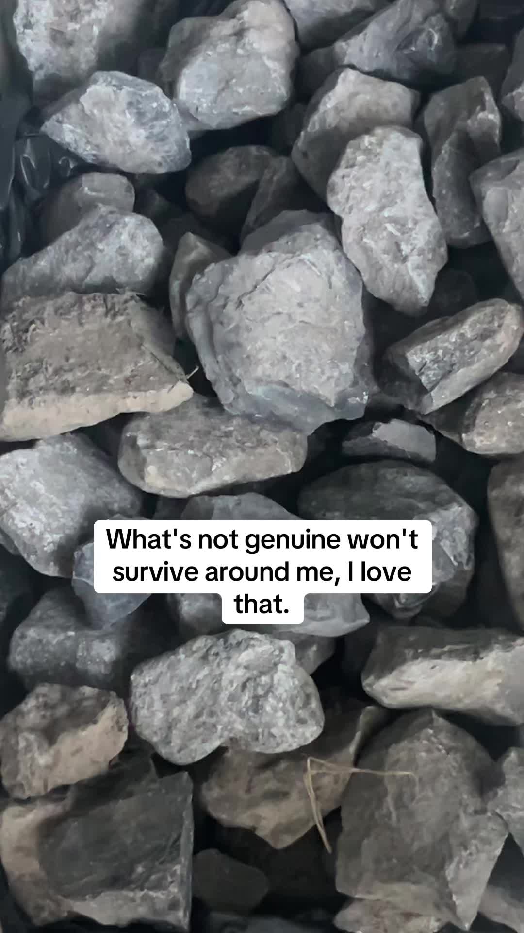 @Reese
