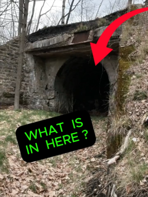 @DD Explores