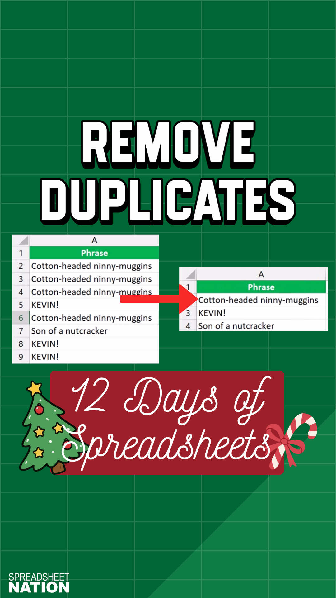 @Spreadsheet Nation