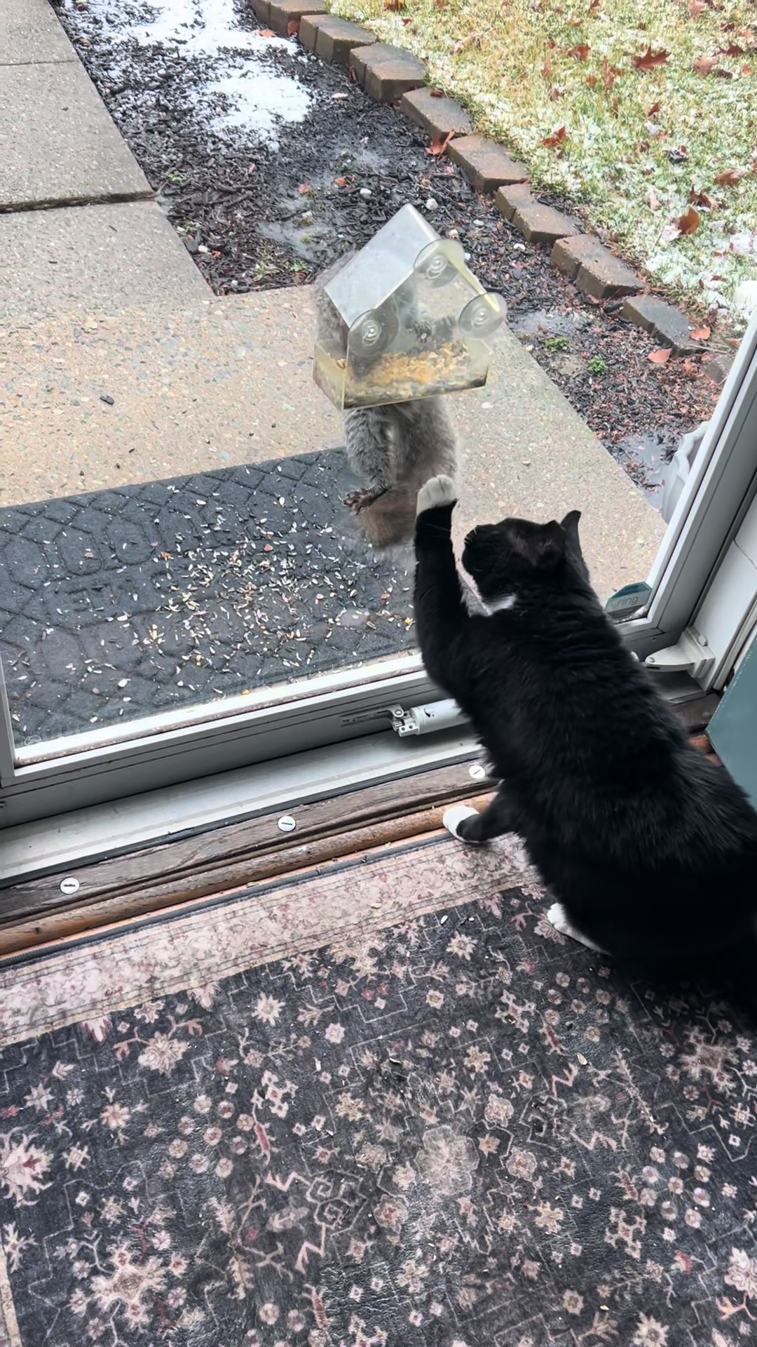 @Toby Purrrs