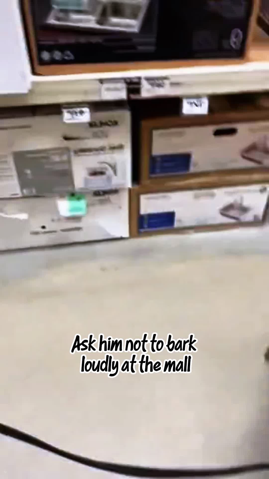 @pet_fnnytimes666