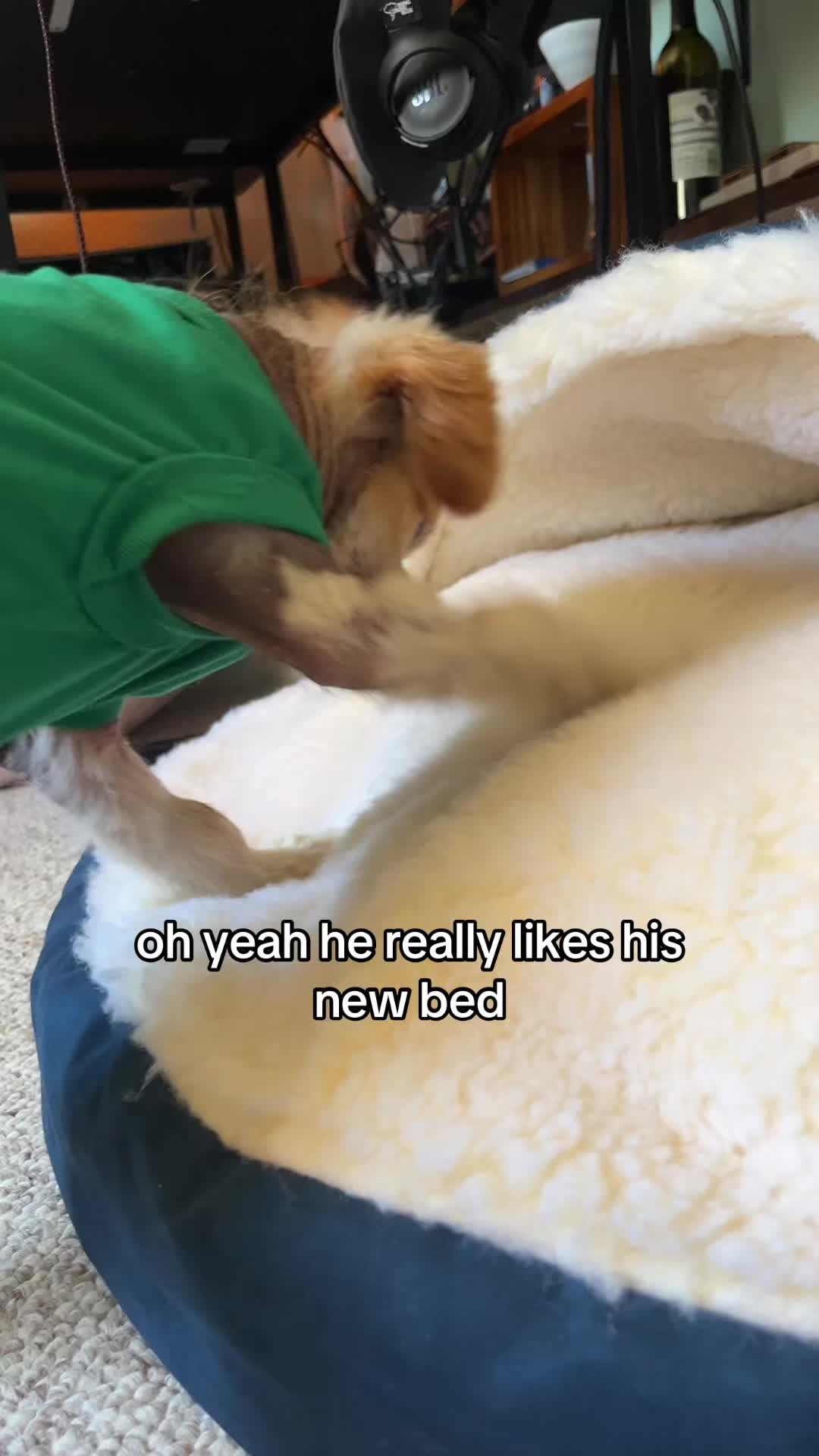 @kingpep