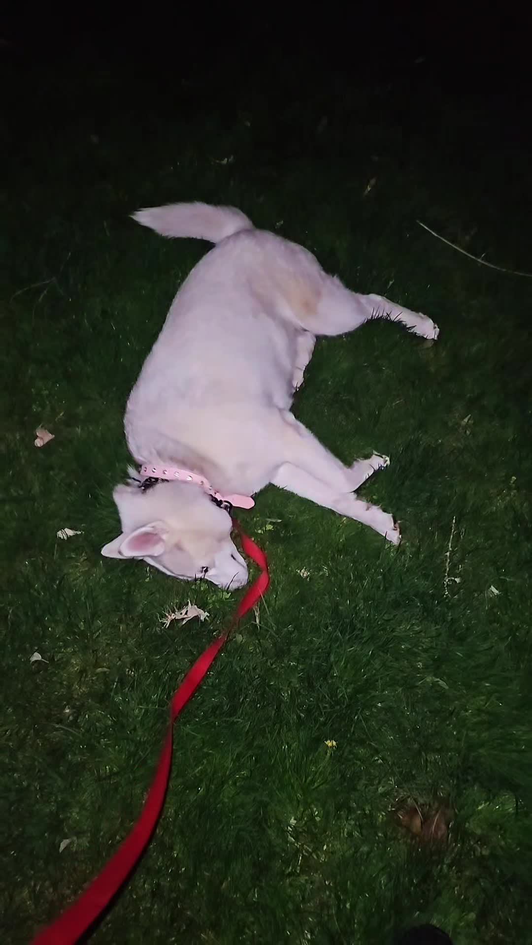 @Sc🧿rpiowitch 🌛🌚🌜❌️