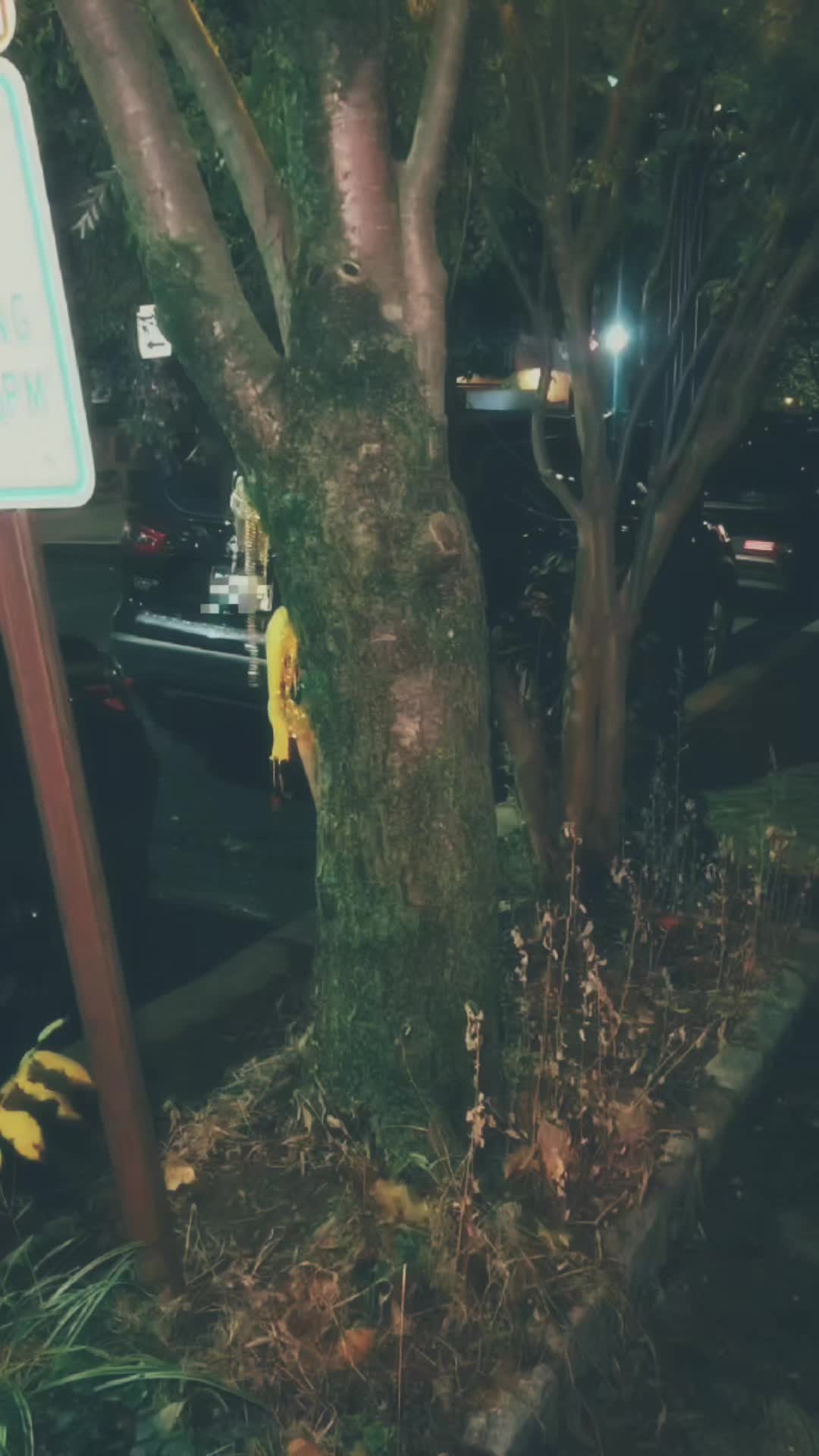 @o.nc