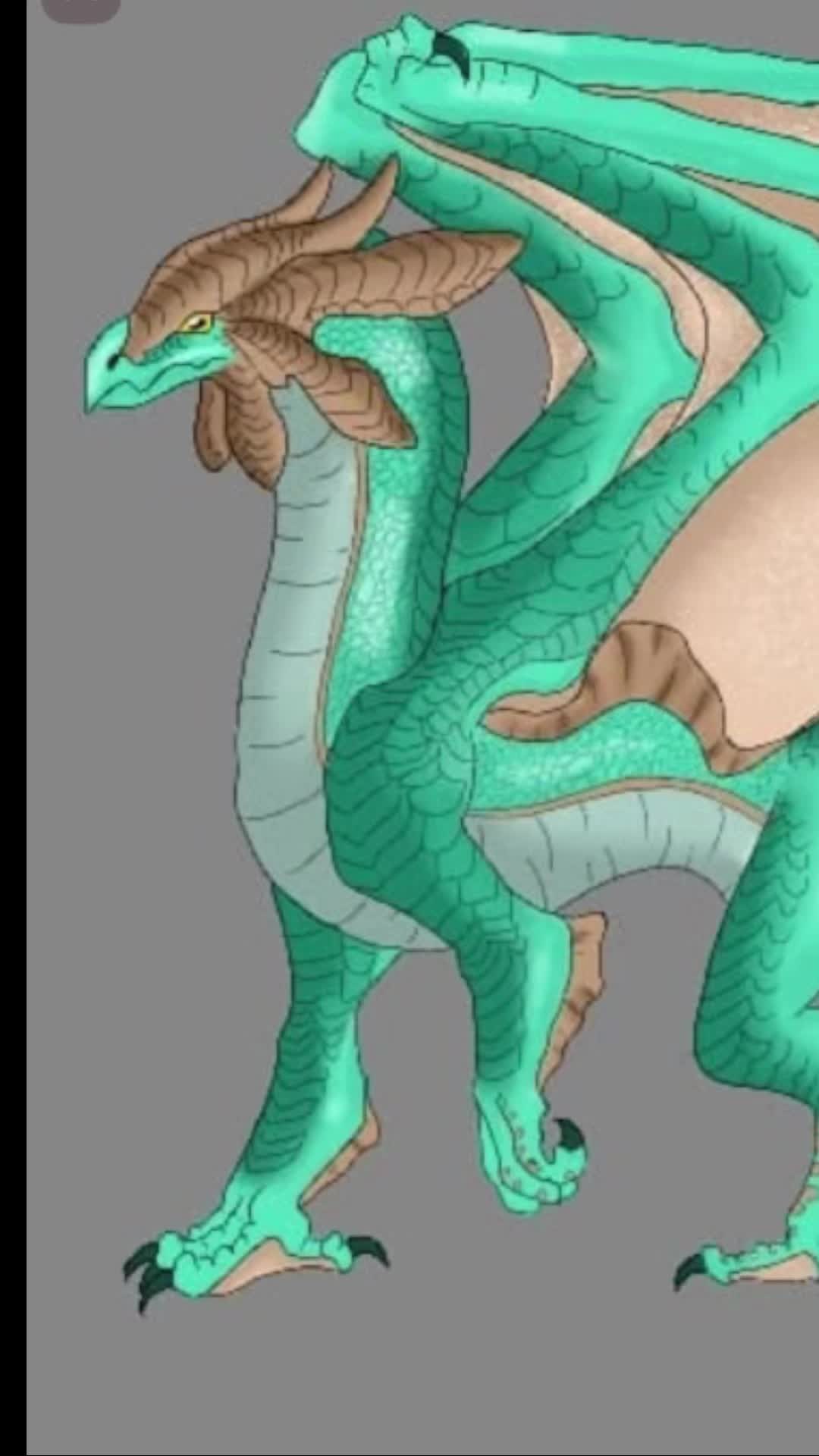 @🐲 ♿️ ren/artist 🏳️⚧️🇮🇪✡️