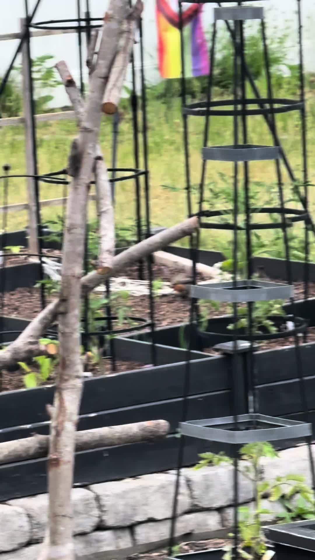@The Bitchy Gardener - Jess 🍉