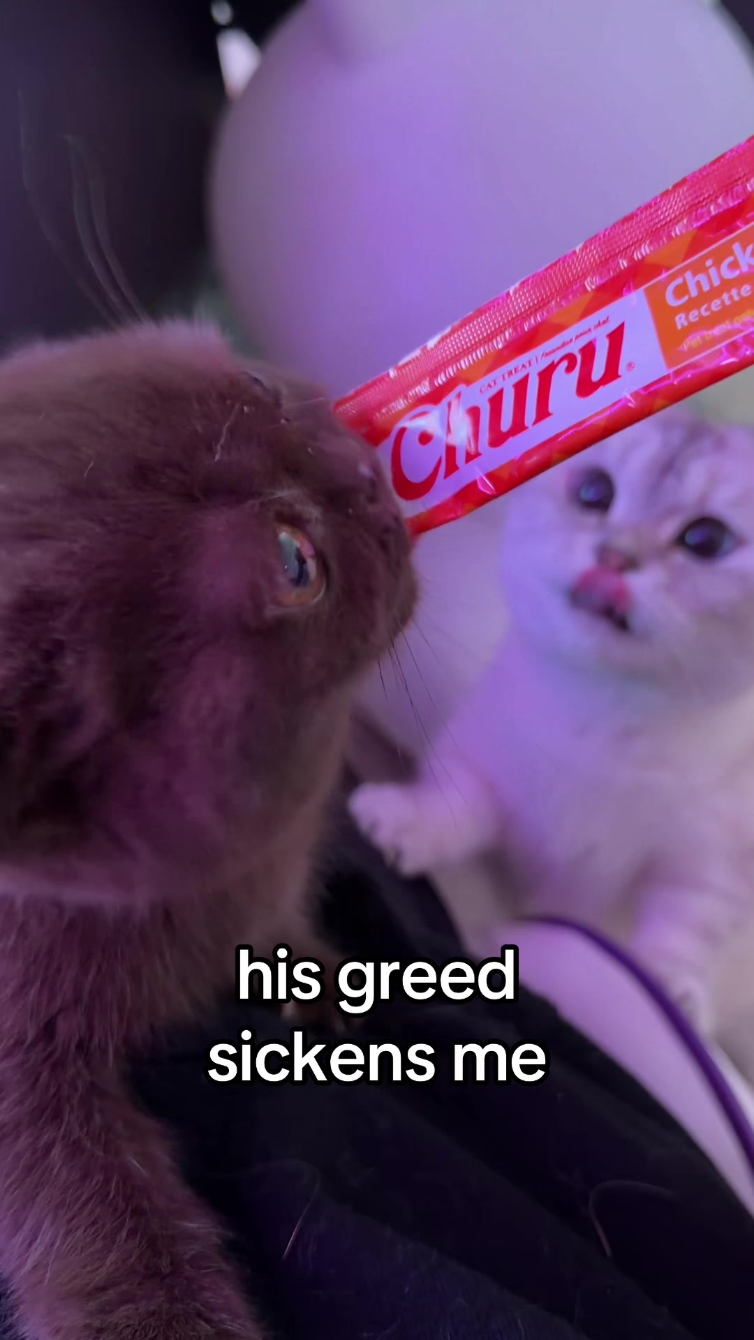 @honey butter chicken biscuit