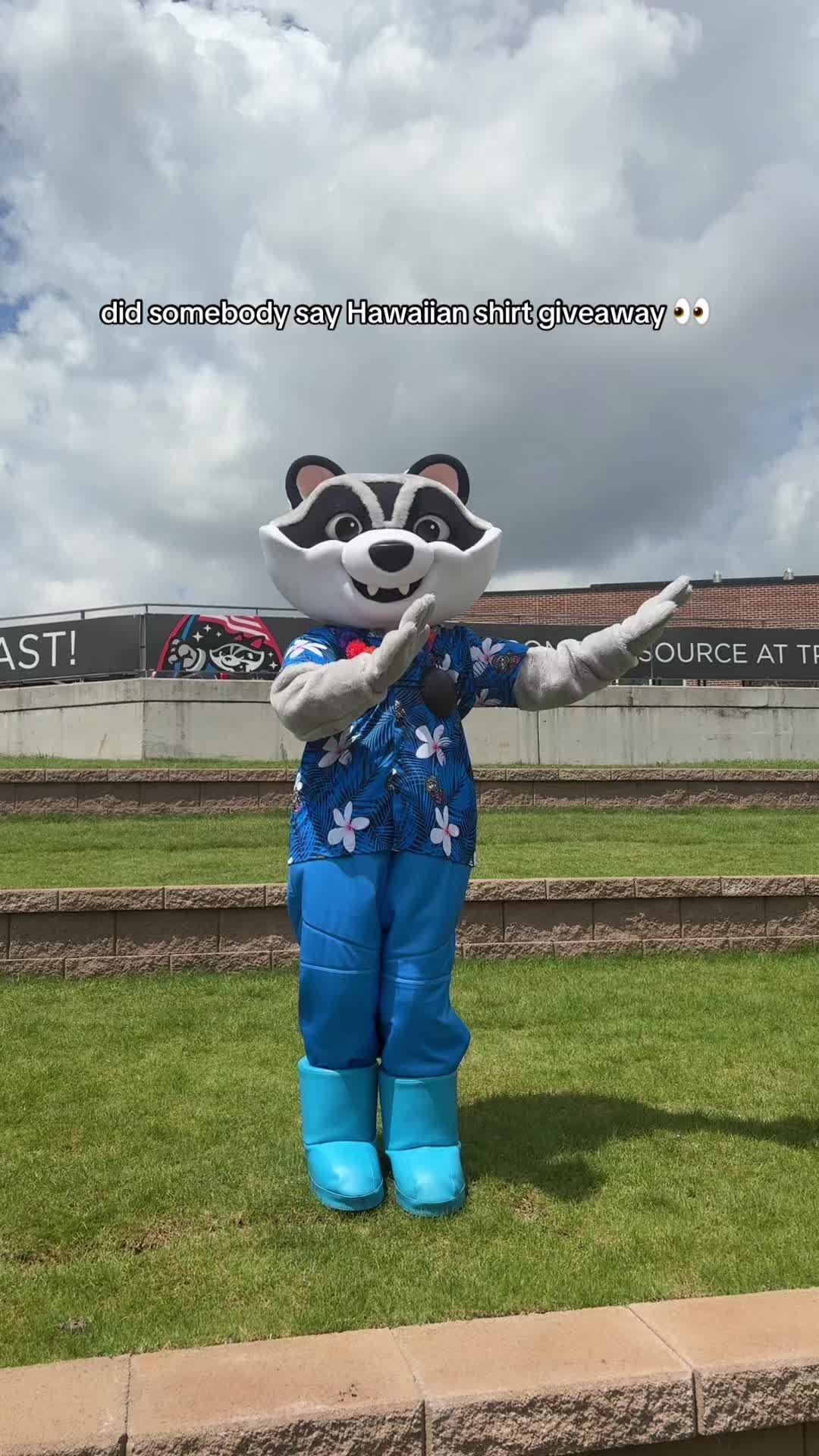 @Trash Pandas