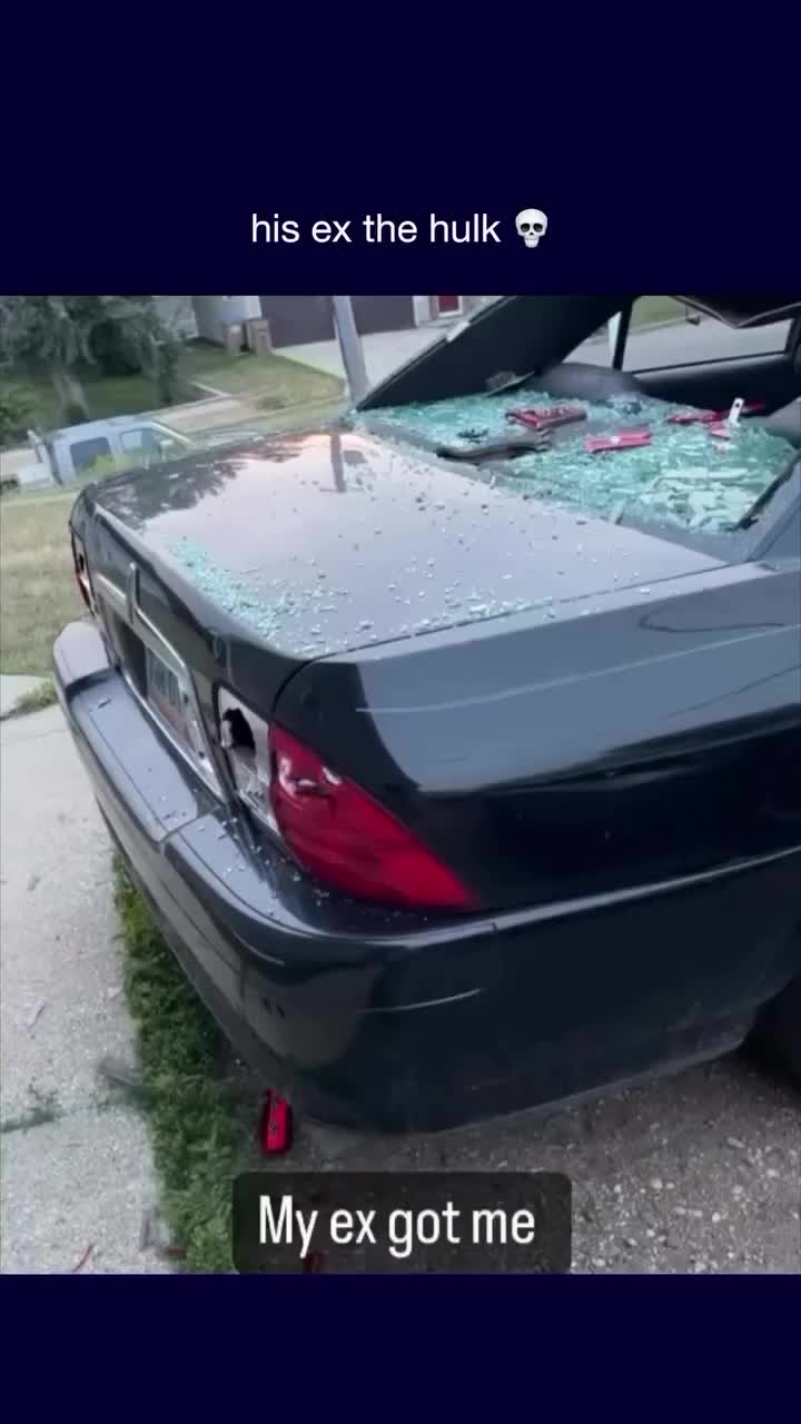 @dailyweirdness1