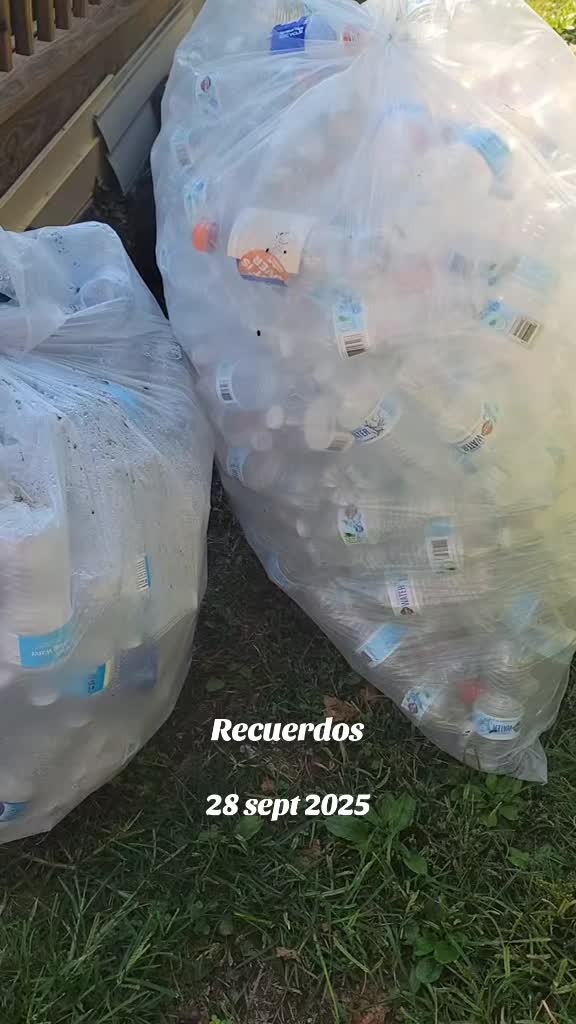 @🇺🇲🇸🇻TRESTOROS 503