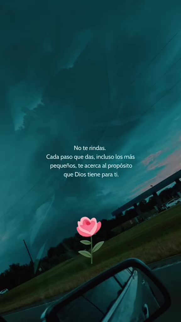 @Inesfloresg8129