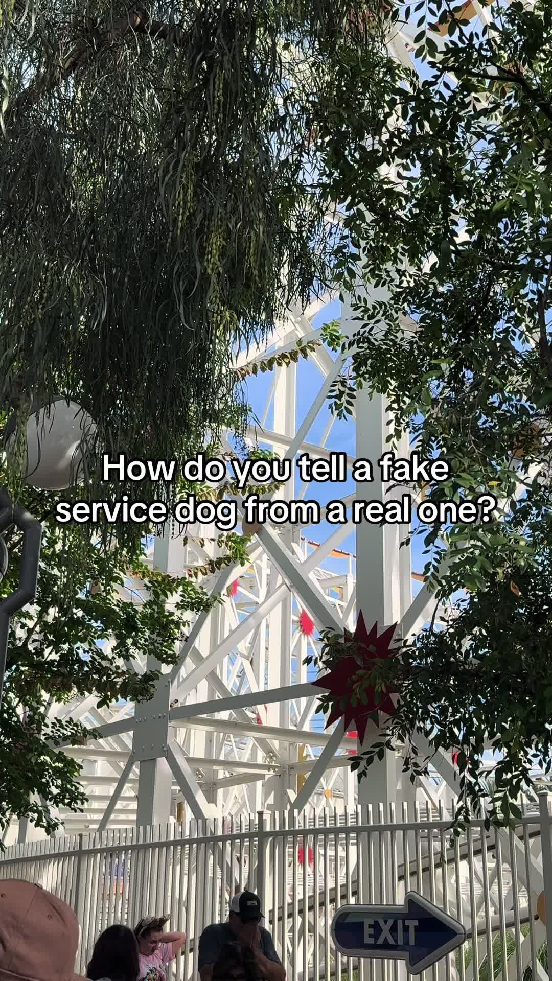 @thesaltysheps