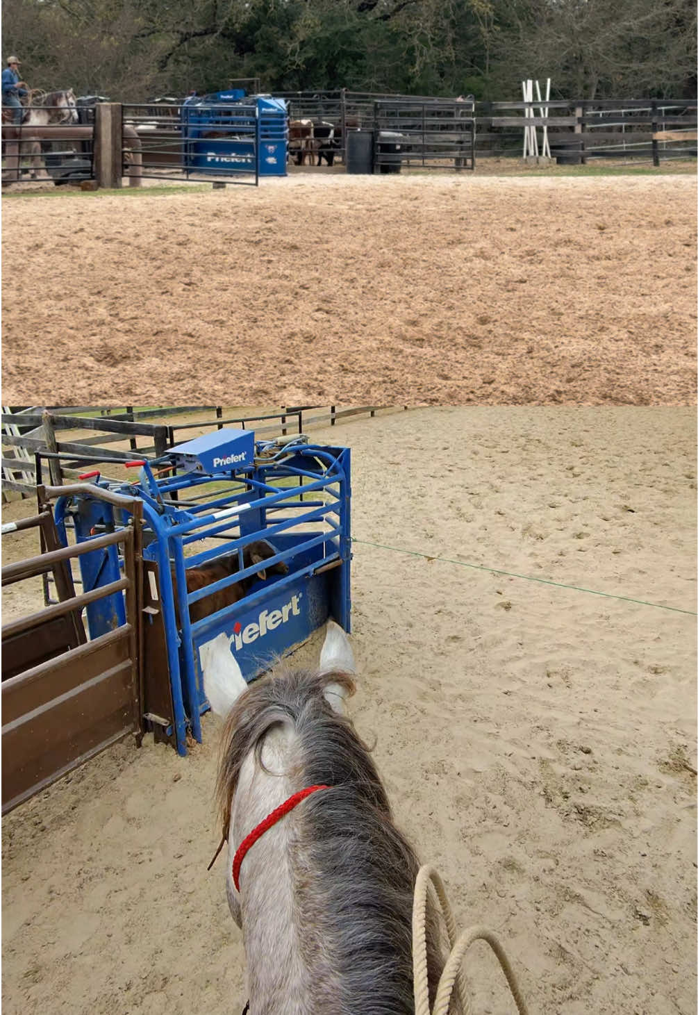 @HD Performance Horses
