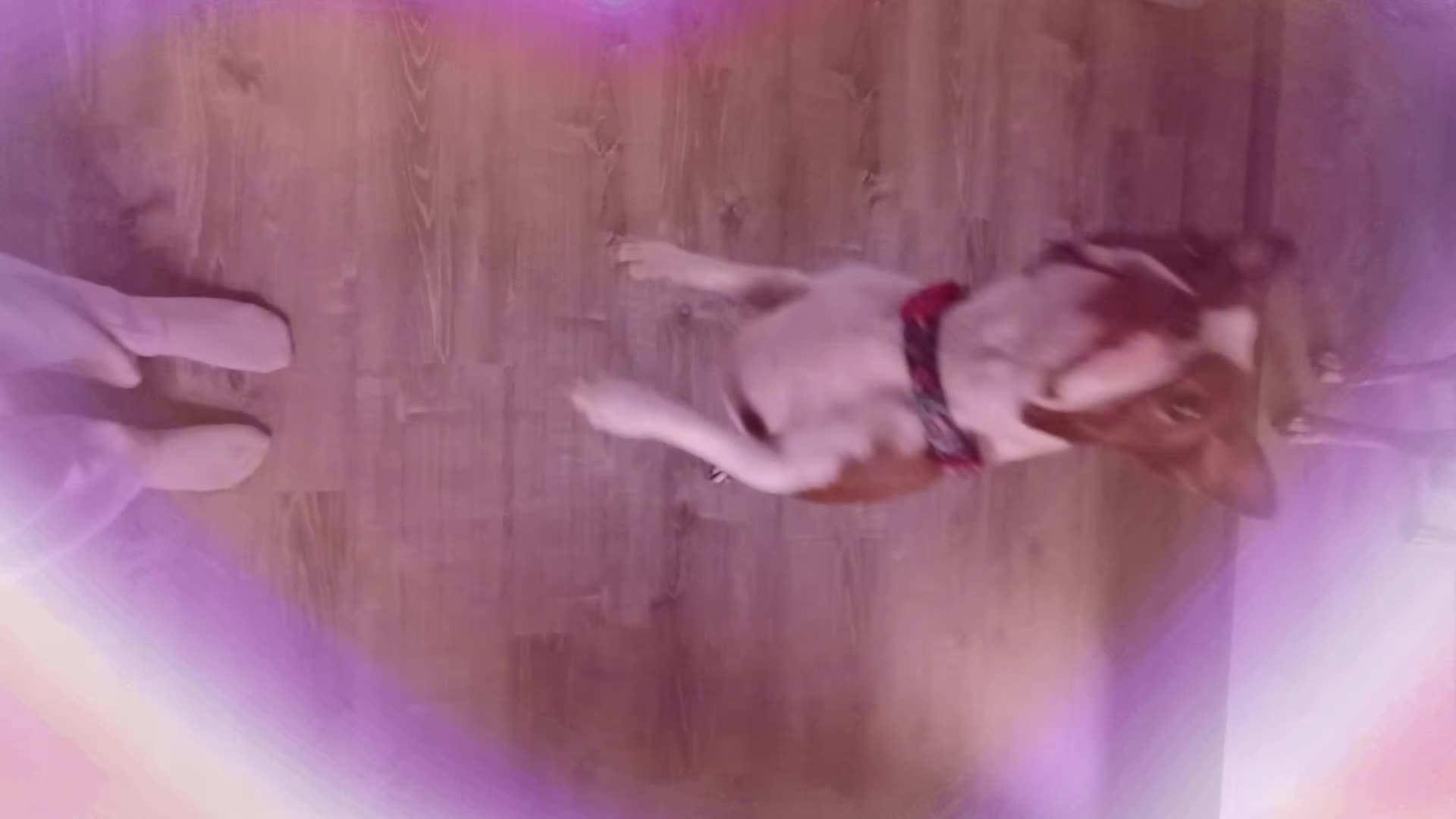 @꒰ა𝓡𝓮𝓷⑅໒꒱