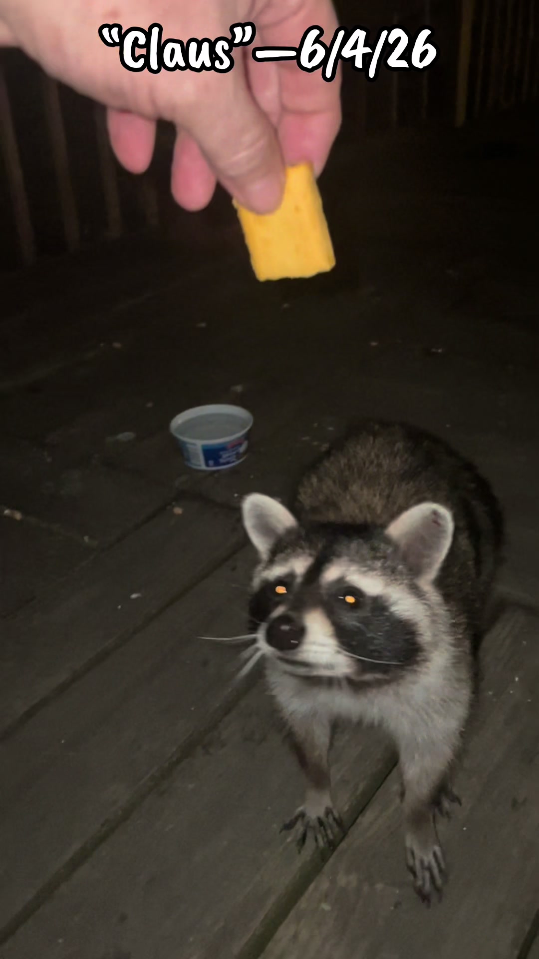 @LoneWolfKritterKam