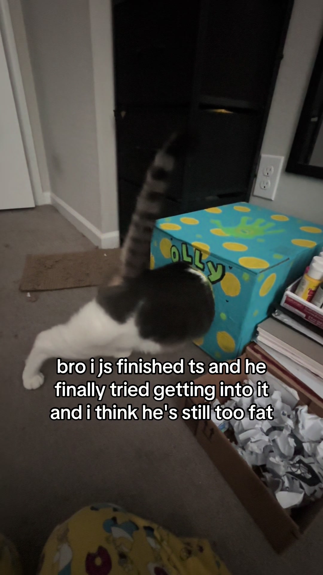 @𝖁𝖆𝖓𝖊𝖑𝖑𝖆 😸💕
