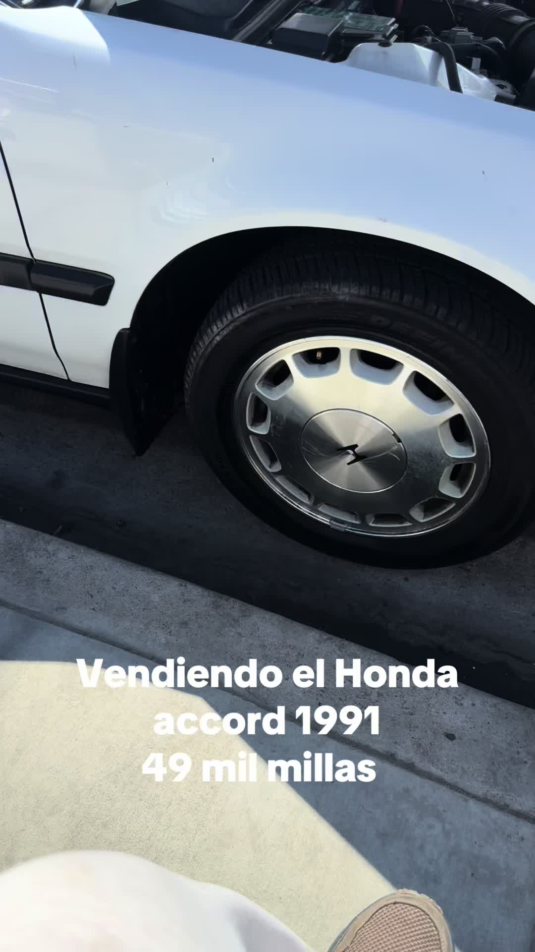 @san ysidro