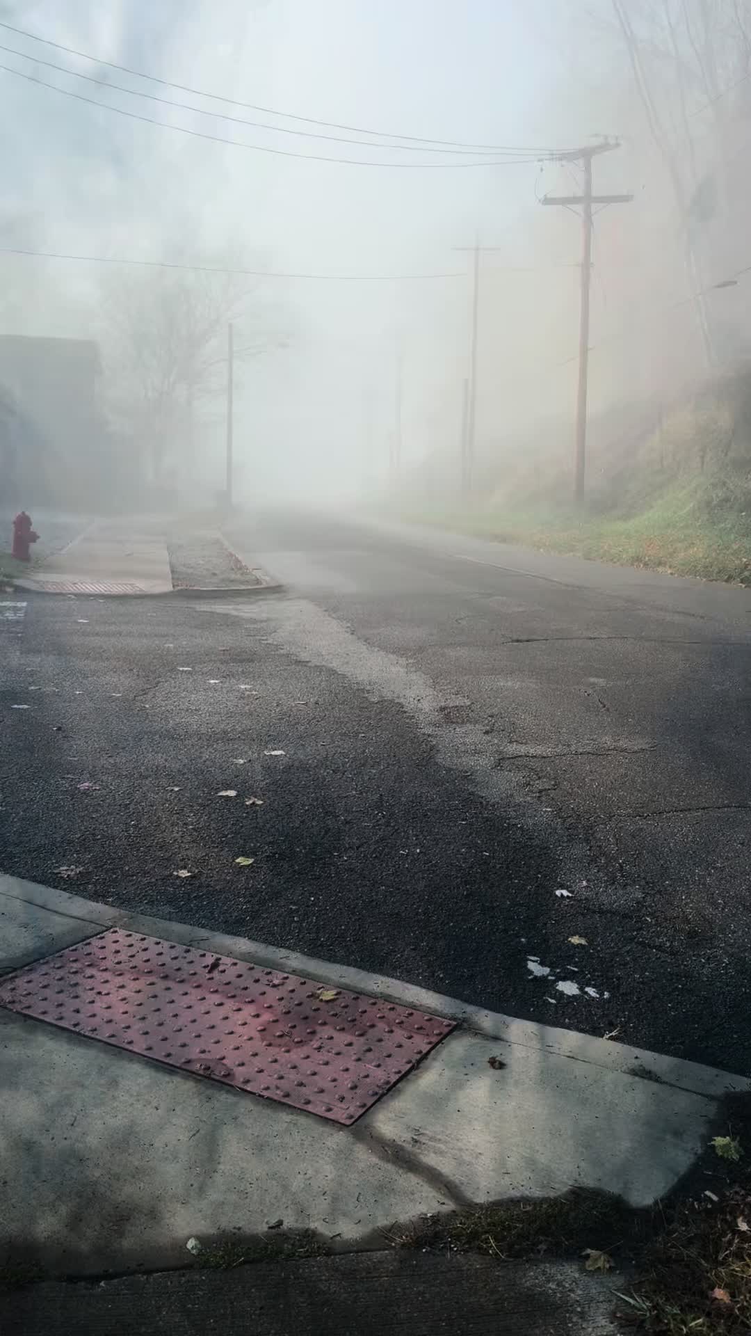 @🫶🏼𝕂𝕚𝕂𝕚🫶🏼