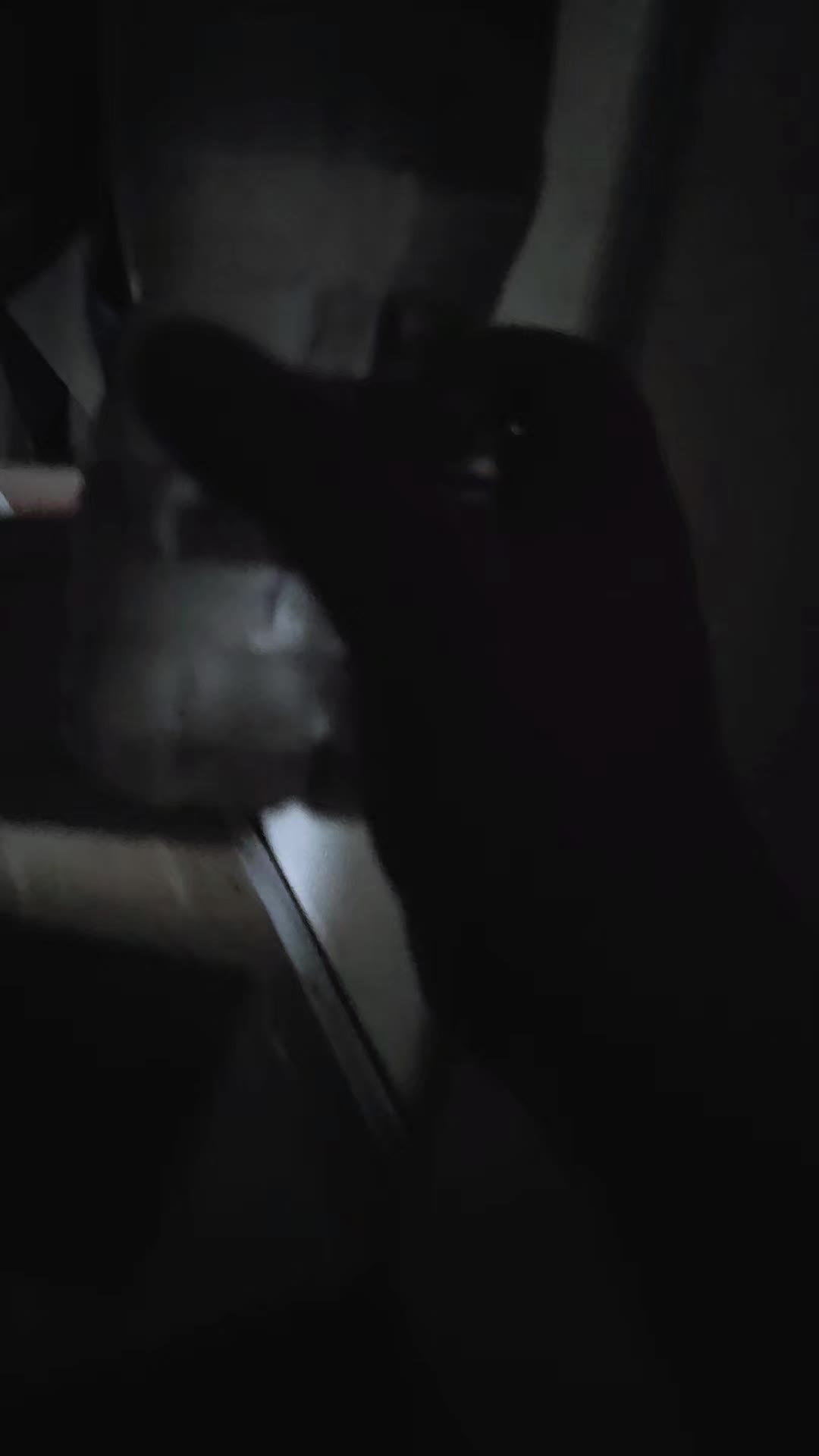 @catnovem